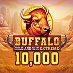 Buffalo Hold And Win Extreme 10000